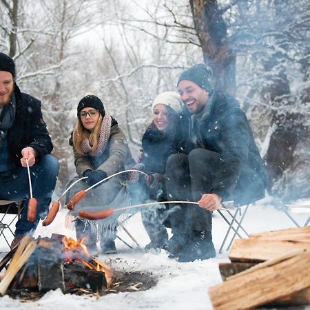 Forest Chalet, 15 Min To Salzburg Olt Town, And Most Beautiful Lakes, Secluded Location, 1,000 Sqm Garden, Mountainview, Panorama Sauna, Bath Whirlpool, Bbq&Bikes&Sunbeds For Free, Up To 10 P Golling an der Salzach Exteriér fotografie