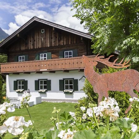 Forest Chalet, 15 Min To Salzburg Olt Town, And Most Beautiful Lakes, Secluded Location, 1,000 Sqm Garden, Mountainview, Panorama Sauna, Bath Whirlpool, Bbq&Bikes&Sunbeds For Free, Up To 10 P Golling an der Salzach Exteriér fotografie