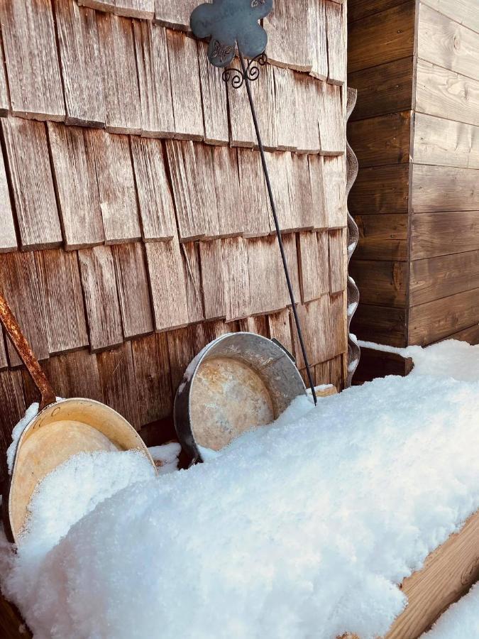Forest Chalet, 15 Min To Salzburg Olt Town, And Most Beautiful Lakes, Secluded Location, 1,000 Sqm Garden, Mountainview, Panorama Sauna, Bath Whirlpool, Bbq&Bikes&Sunbeds For Free, Up To 10 P Golling an der Salzach Exteriér fotografie