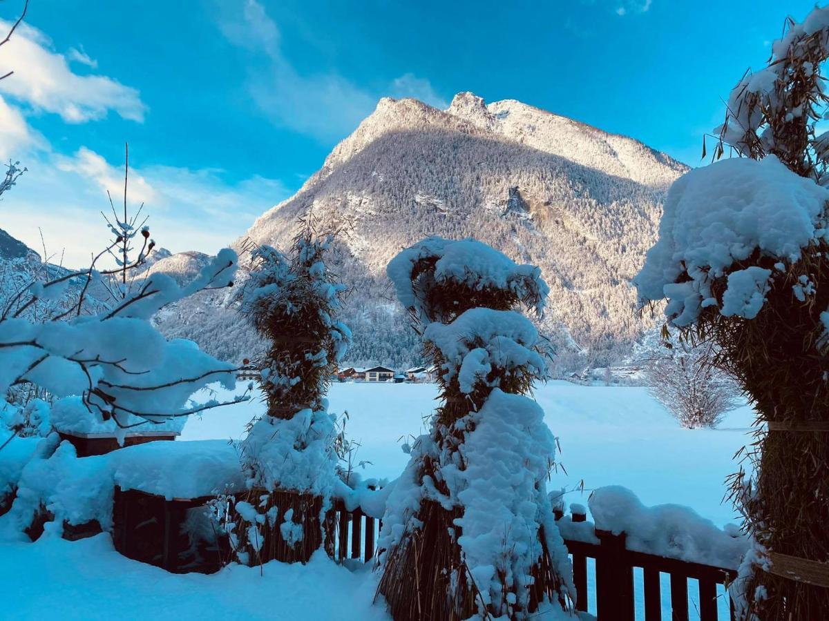 Forest Chalet, 15 Min To Salzburg Olt Town, And Most Beautiful Lakes, Secluded Location, 1,000 Sqm Garden, Mountainview, Panorama Sauna, Bath Whirlpool, Bbq&Bikes&Sunbeds For Free, Up To 10 P Golling an der Salzach Exteriér fotografie