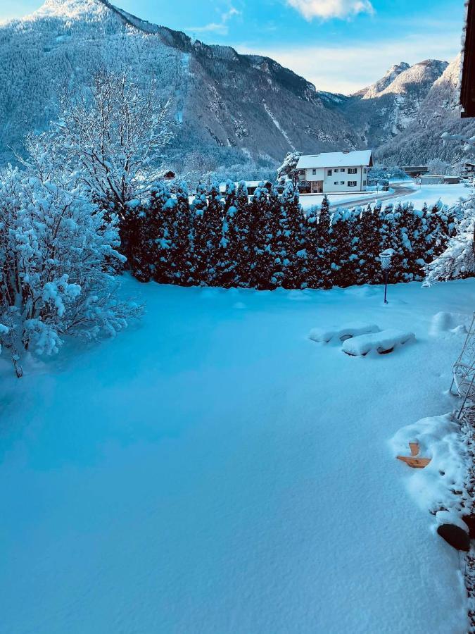 Forest Chalet, 15 Min To Salzburg Olt Town, And Most Beautiful Lakes, Secluded Location, 1,000 Sqm Garden, Mountainview, Panorama Sauna, Bath Whirlpool, Bbq&Bikes&Sunbeds For Free, Up To 10 P Golling an der Salzach Exteriér fotografie