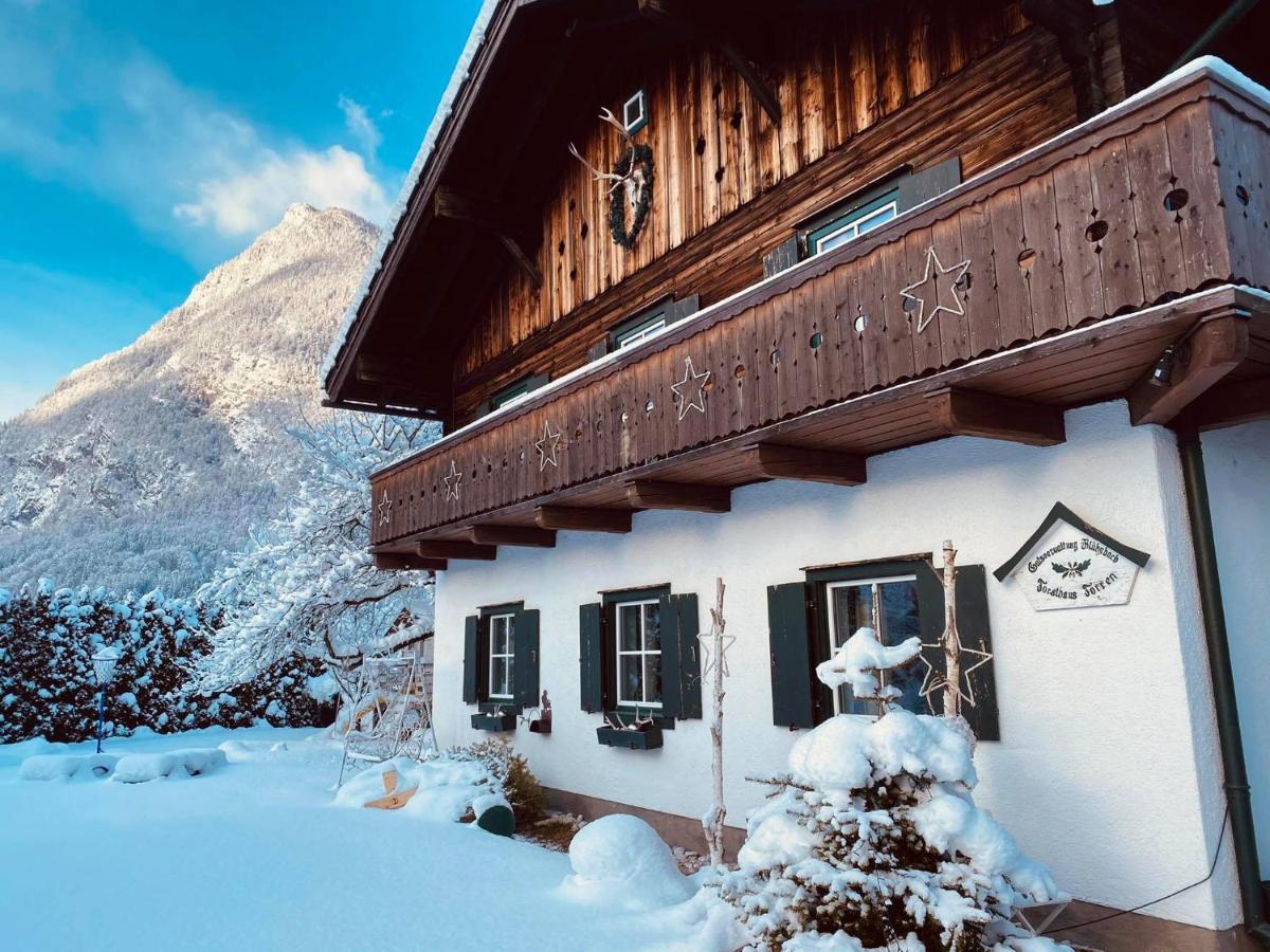 Forest Chalet, 15 Min To Salzburg Olt Town, And Most Beautiful Lakes, Secluded Location, 1,000 Sqm Garden, Mountainview, Panorama Sauna, Bath Whirlpool, Bbq&Bikes&Sunbeds For Free, Up To 10 P Golling an der Salzach Exteriér fotografie