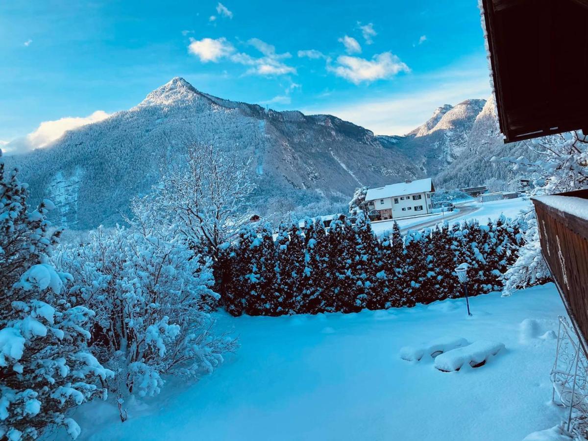 Forest Chalet, 15 Min To Salzburg Olt Town, And Most Beautiful Lakes, Secluded Location, 1,000 Sqm Garden, Mountainview, Panorama Sauna, Bath Whirlpool, Bbq&Bikes&Sunbeds For Free, Up To 10 P Golling an der Salzach Exteriér fotografie
