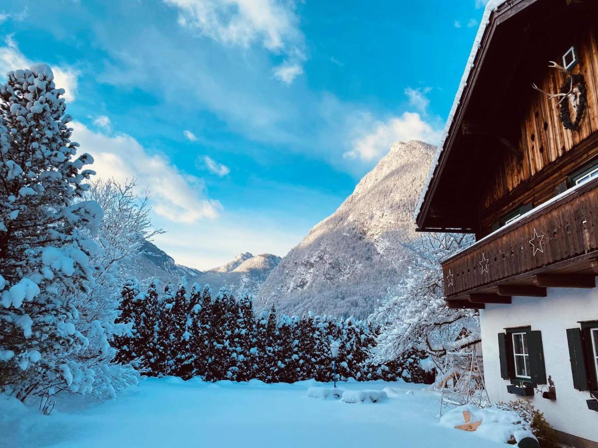 Forest Chalet, 15 Min To Salzburg Olt Town, And Most Beautiful Lakes, Secluded Location, 1,000 Sqm Garden, Mountainview, Panorama Sauna, Bath Whirlpool, Bbq&Bikes&Sunbeds For Free, Up To 10 P Golling an der Salzach Exteriér fotografie