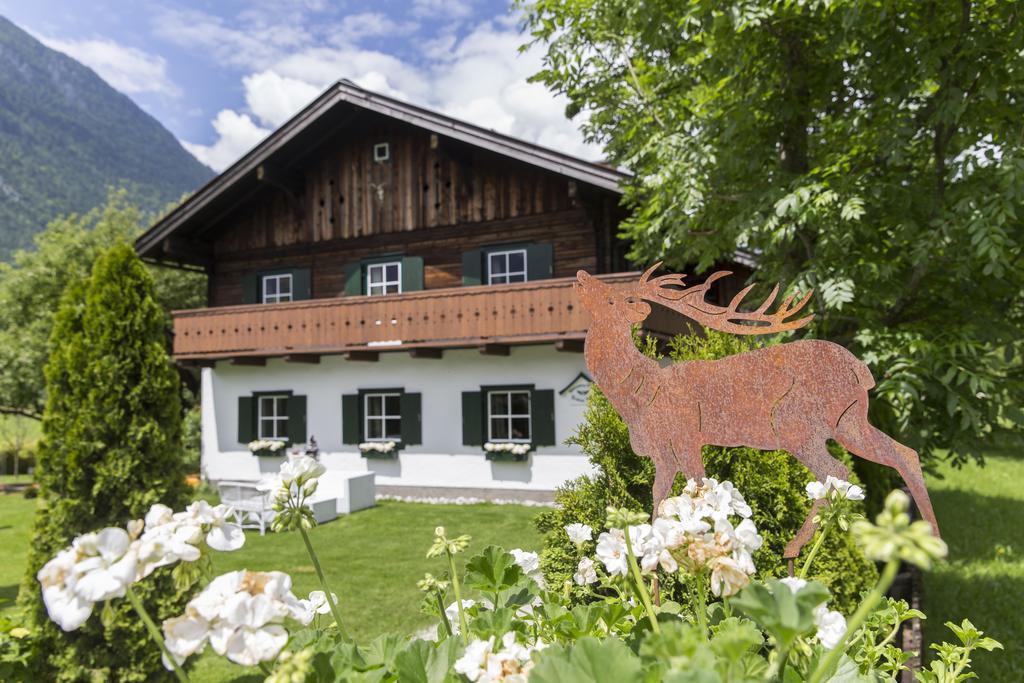 Forest Chalet, 15 Min To Salzburg Olt Town, And Most Beautiful Lakes, Secluded Location, 1,000 Sqm Garden, Mountainview, Panorama Sauna, Bath Whirlpool, Bbq&Bikes&Sunbeds For Free, Up To 10 P Golling an der Salzach Exteriér fotografie