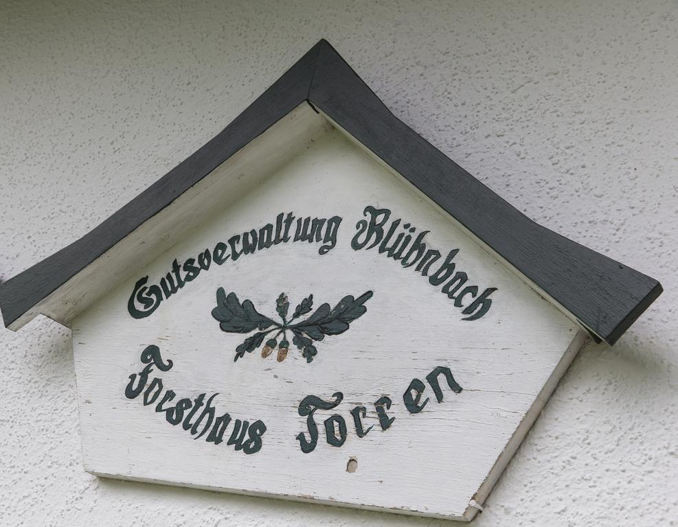Forest Chalet, 15 Min To Salzburg Olt Town, And Most Beautiful Lakes, Secluded Location, 1,000 Sqm Garden, Mountainview, Panorama Sauna, Bath Whirlpool, Bbq&Bikes&Sunbeds For Free, Up To 10 P Golling an der Salzach Exteriér fotografie