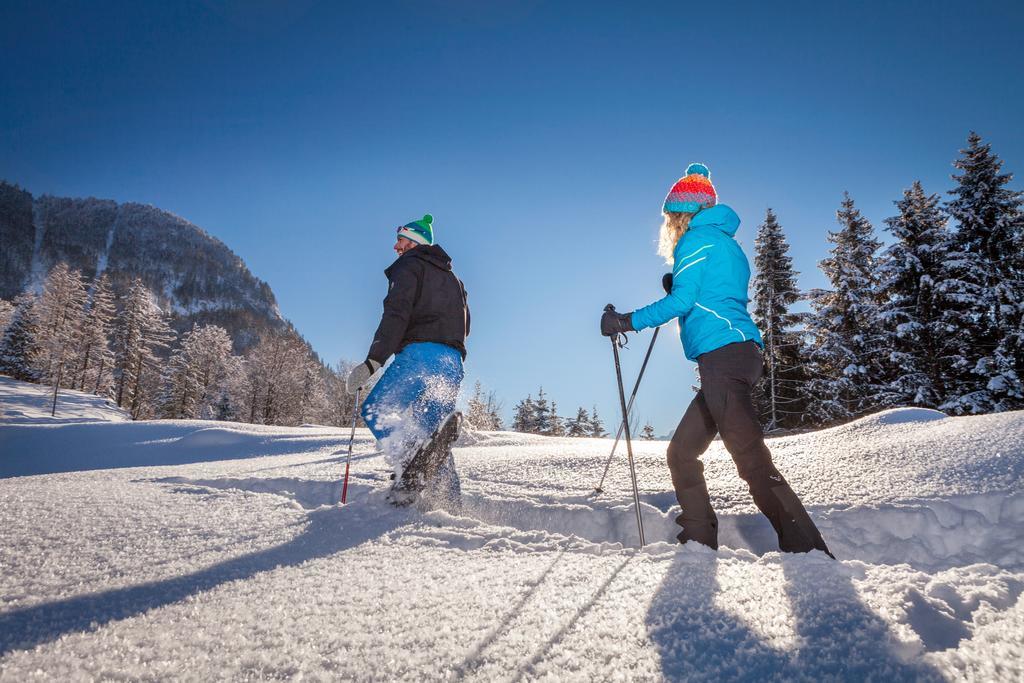 Forest Chalet, 15 Min To Salzburg Olt Town, And Most Beautiful Lakes, Secluded Location, 1,000 Sqm Garden, Mountainview, Panorama Sauna, Bath Whirlpool, Bbq&Bikes&Sunbeds For Free, Up To 10 P Golling an der Salzach Exteriér fotografie