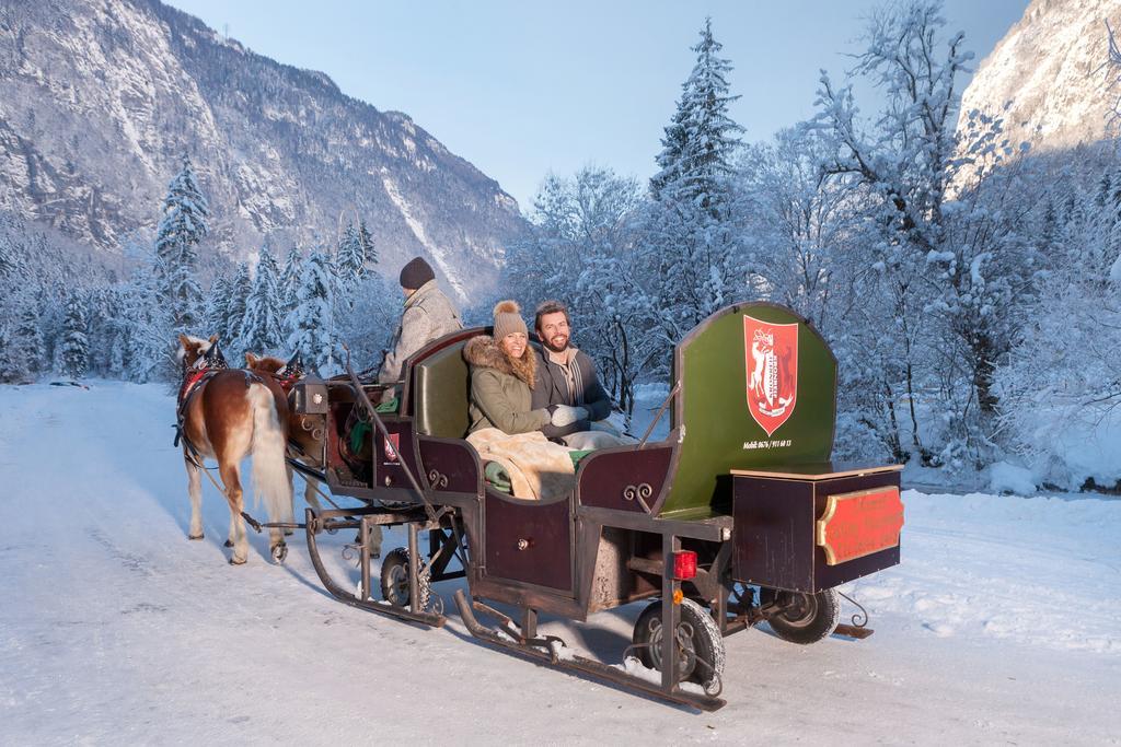 Forest Chalet, 15 Min To Salzburg Olt Town, And Most Beautiful Lakes, Secluded Location, 1,000 Sqm Garden, Mountainview, Panorama Sauna, Bath Whirlpool, Bbq&Bikes&Sunbeds For Free, Up To 10 P Golling an der Salzach Exteriér fotografie