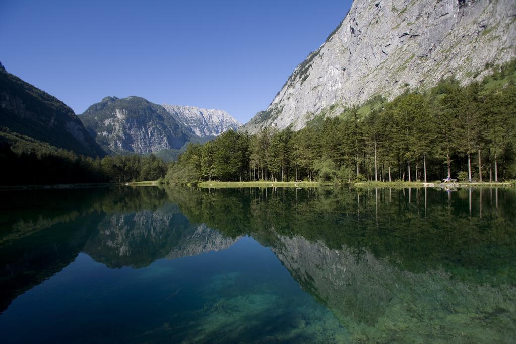Forest Chalet, 15 Min To Salzburg Olt Town, And Most Beautiful Lakes, Secluded Location, 1,000 Sqm Garden, Mountainview, Panorama Sauna, Bath Whirlpool, Bbq&Bikes&Sunbeds For Free, Up To 10 P Golling an der Salzach Exteriér fotografie